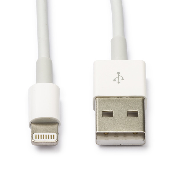 emotioneel Odysseus interview Apple Lightning kabel | Apple origineel | 2 meter (Wit) Apple Kabelshop.nl