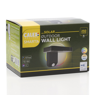 Calex Slimme solar wandlamp | Calex (Dimbaar, 250 lm) 5401001800 K170203805 - 4