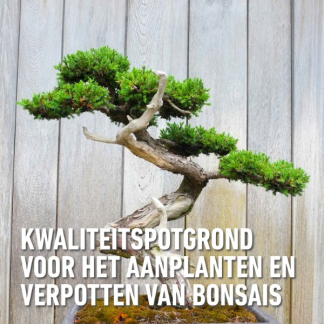 Compo Bonsai potgrond | Compo | 5 liter 1160222017 K170116047 - 3