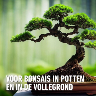 Compo Bonsai potgrond | Compo | 5 liter 1160222017 K170116047 - 4