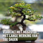 Compo Bonsai potgrond | Compo | 5 liter 1160222017 K170116047 - 5