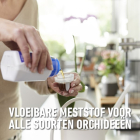 Compo Orchideeën voeding | Compo | 250 ml (Vloeibaar) 1405912017 K170116065 - 3