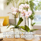 Compo Orchideeën voeding | Compo | 250 ml (Vloeibaar) 1405912017 K170116065 - 6