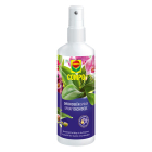 Compo Orchideeënspray | Compo | 250 ml (Gebruiksklaar) 1402012017 K170115785