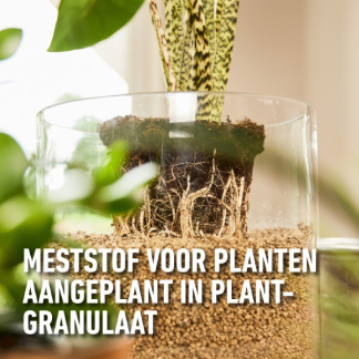 Compo Plantenvoeding | Compo | 500 ml (Natuurlijk, Vloeibaar) 2377702017 K170116061 - 7