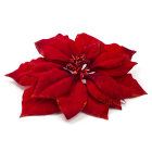 Everlands Kerstbloem | Everlands | Kerstster (24 cm, Rood) 629332 K151000600 - 1