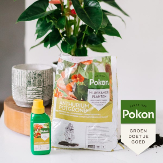 Pokon Anthurium potgrond | Pokon | 5 liter 724044 7962607100 K170116161 - 5