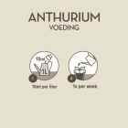 Pokon Anthurium voeding | Pokon | 250 ml (Vloeibaar) 7295313100 K170116117 - 4