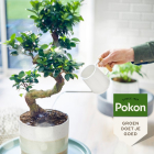 Pokon Bonsai voeding | Pokon | 250 ml (Vloeibaar) 7296313100 K170116118 - 4