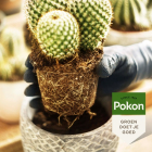 Pokon Cactus potgrond | Pokon | 5 liter 724041 7923607100 K170116158 - 5