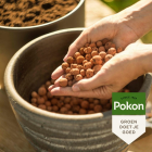 Pokon Hydrokorrels | Pokon | 10 liter (Natuurlijk) 7939608100 K170116163 - 5