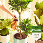 Pokon Kamerplanten potgrond | Pokon | 60 liter (Met voeding)  V170115697 - 4