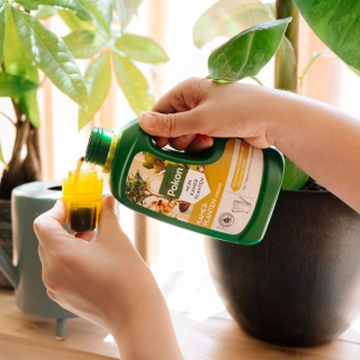 Pokon Kamerplanten voeding | Pokon | 500 ml 723152 7283313100 K170115040 - 3