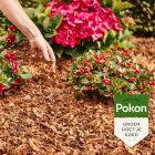 Pokon Kokosvezels | Pokon | 100 liter (100% natuurlijk)  V170505349 - 5