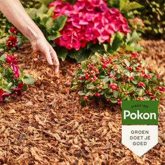 Pokon Kokosvezels | Pokon | 50 liter (Natuurlijk) 7964605100 C170505349 - 4