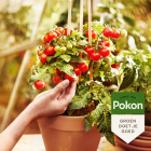 Pokon Moestuingrond | Pokon | 20 liter (Bio-label, Turfvrij) 7961602101 K170116151 - 4