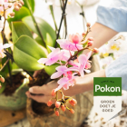 Pokon Orchideeën voeding | Pokon | 500 ml 723147 7294818100 K170116116 - 4