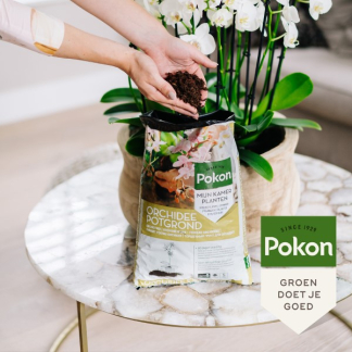 Pokon Orchidee potgrond | Pokon | 5 liter 724043 7925660100 K170116160 - 5