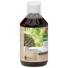 Plantkuur voor buitenplanten en moestuin | Pokon | 500 ml (Concentraat)