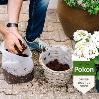 Pokon Potgrond Compact | Pokon | 450 liter (Kokosvezel, Turfvrij)  V170115633 - 10