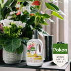 Pokon bio bloeiende planten voeding | 500 ml 7500313100 C170112302 - 5