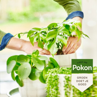 Pokon bio groene planten voeding | 250 ml 7600275100 C170112303 - 5