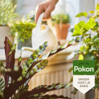 Pokon bio kamerplanten voeding | 250 ml 7400275100 C170112301 - 5