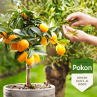 Pokon bio mediterrane plantenvoeding | 500 ml 7220313100 C170112310 - 5