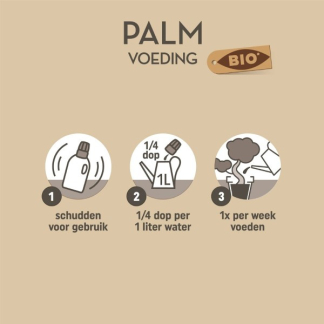 Pokon bio palm voeding | 250 ml 7200313100 C170112308 - 4