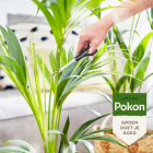 Pokon bio palm voeding | 250 ml 7200313100 C170112308 - 5