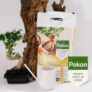 Pokon bonsai potgrond (5 L) 724042 7924607100 C170116159 - 5