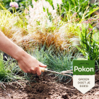 Pokon siergrassen & bamboe mest | 1 kg 7202010016 C170112311 - 5