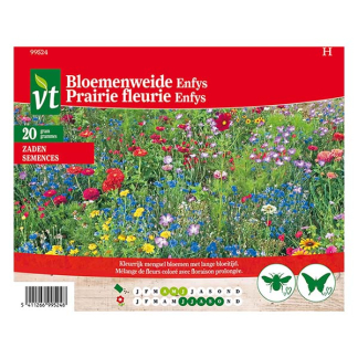 VT Bloemzaden Bloemenweide | VT | 10 stuks  W170116635 - 2