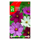 VT Bloemzaden Cosmea | VT | 10 stuks  W170116620 - 2