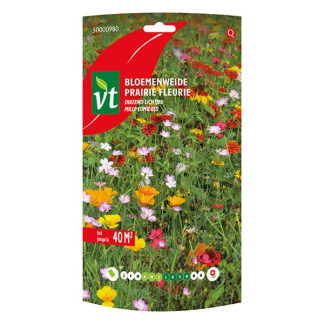 VT Bloemzaden Duizend Lichtjes | VT (Meerjarig, 40 m²) 50000980 K170116616 - 1