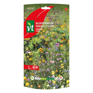 VT Bloemzaden Meerjarige Bloemen | VT (40 m²) 50000982 K170116617 - 1