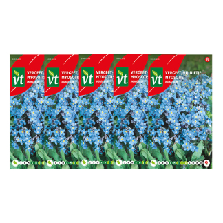 Bloemzaden Vergeet-Mij-Nietje | VT | 5 stuks (Blauw)