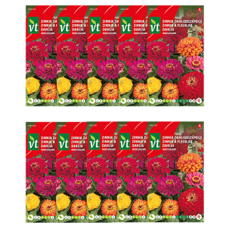 Bloemzaden Zinnia | VT | 10 stuks (Gemengd)