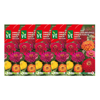 Bloemzaden Zinnia | VT | 5 stuks (Gemengd)