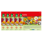 VT Bloemzaden Zomerse Plukbloemen | VT | 5 stuks  V170116634 - 1