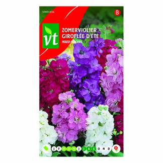 VT Bloemzaden Zomerviolier | VT (Gemengd) 50001534 K170116637 - 1