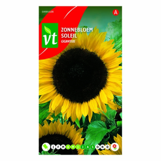 VT Bloemzaden Zonnebloem | VT | 10 stuks  W170116638 - 2