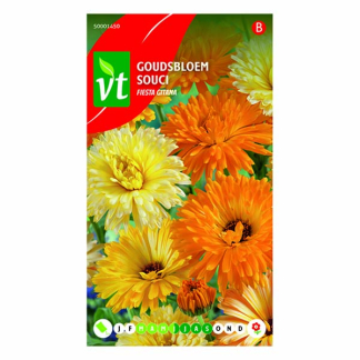 VT Bloemzaden goudsbloem | VT | 10 stuks  W170116621 - 2