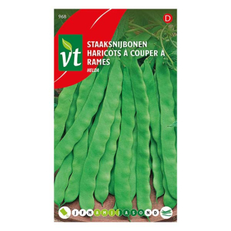 VT Bonen zaad | VT | 10 stuks (Staaksnijboon)  W170116672 - 2