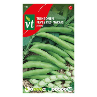 VT Bonen zaad | VT | 10 stuks (Tuinbonen)  W170116677 - 2