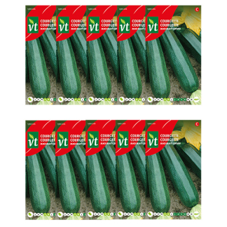 Courgettezaad | VT | 10 stuks