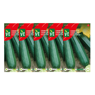 Courgettezaad | VT | 5 stuks