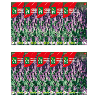 Lavendel zaad | VT | 10 stuks