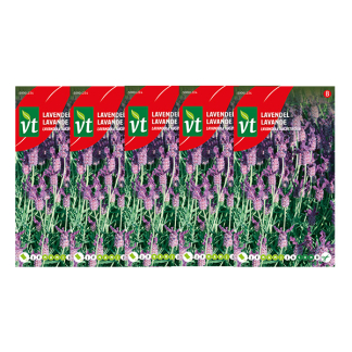 Lavendel zaad | VT | 5 stuks