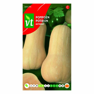 VT Pompoenzaad | VT | 5 stuks (Flespompoen)  V170116657 - 2